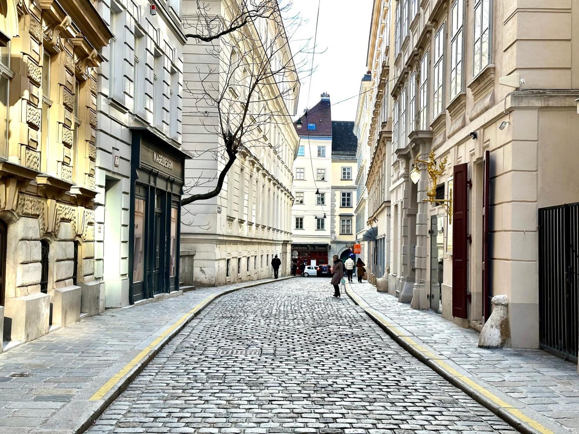 Central Stephansdom Apartment I Netflix I Self Check In Βιέννη Εξωτερικό φωτογραφία